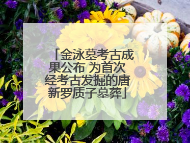 金泳墓考古成果公布 为首次经考古发掘的唐新罗质子墓葬