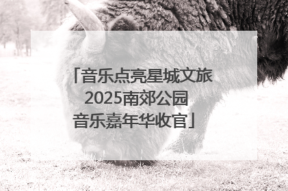 音乐点亮星城文旅 2025南郊公园音乐嘉年华收官