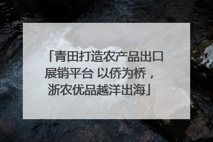 青田打造农产品出口展销平台 以侨为桥，浙农优品越洋出海