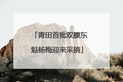 青田首批双膜东魁杨梅迎来采摘