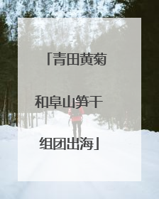 青田黄菊和阜山笋干组团出海