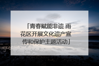 青春赋能非遗 雨花区开展文化遗产宣传和保护主题活动