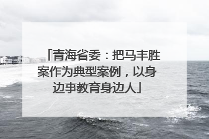 青海省委：把马丰胜案作为典型案例，以身边事教育身边人