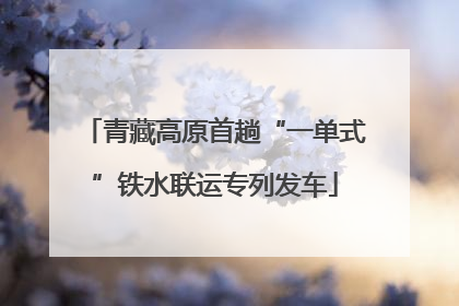 青藏高原首趟“一单式”铁水联运专列发车