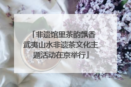 非遗馆里茶韵飘香 武夷山水非遗茶文化主题活动在京举行