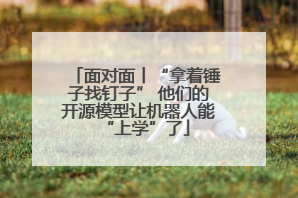 面对面丨“拿着锤子找钉子” 他们的开源模型让机器人能“上学”了