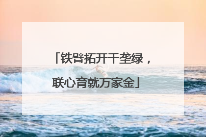 铁臂拓开千垄绿，联心育就万家金