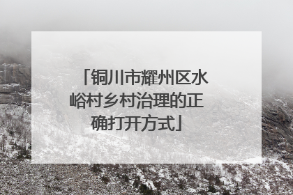 铜川市耀州区水峪村乡村治理的正确打开方式