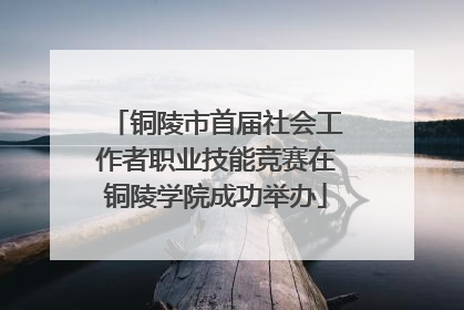 铜陵市首届社会工作者职业技能竞赛在铜陵学院成功举办