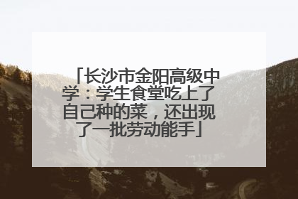 长沙市金阳高级中学：学生食堂吃上了自己种的菜，还出现了一批劳动能手