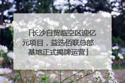 长沙自贸临空区迎亿元项目，益选佰联总部基地正式揭牌运营