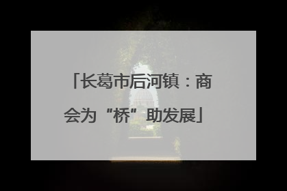 长葛市后河镇：商会为“桥”助发展