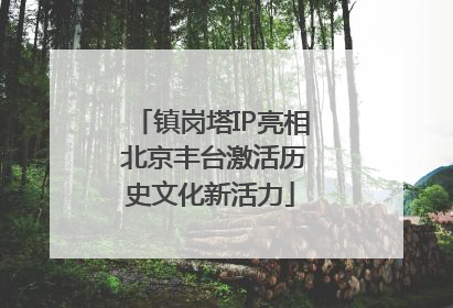 镇岗塔IP亮相 北京丰台激活历史文化新活力