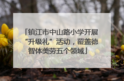 镇江市中山路小学开展“升级礼”活动，覆盖德智体美劳五个领域