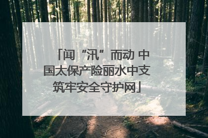 闻“汛”而动 中国太保产险丽水中支筑牢安全守护网