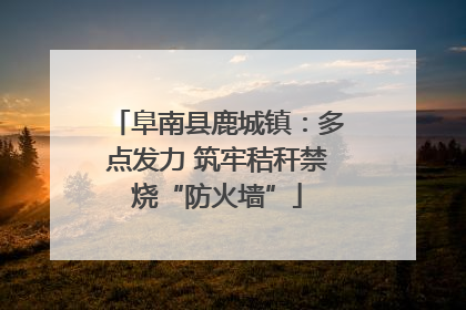 阜南县鹿城镇：多点发力 筑牢秸秆禁烧“防火墙”