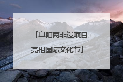 阜阳两非遗项目亮相国际文化节