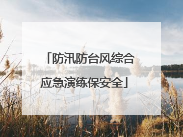 防汛防台风综合应急演练保安全