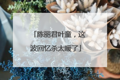 陈丽君叶童，这波回忆杀太暖了