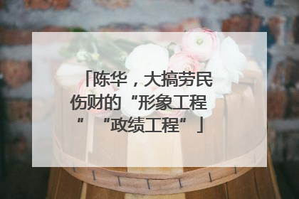 陈华，大搞劳民伤财的“形象工程”“政绩工程”
