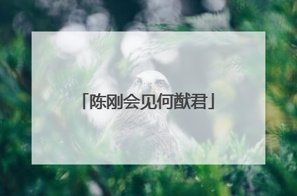 陈刚会见何猷君