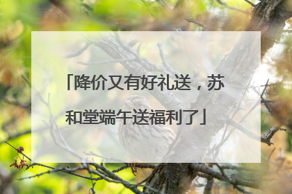 降价又有好礼送，苏和堂端午送福利了