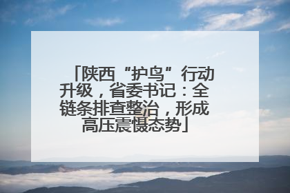 陕西“护鸟”行动升级，省委书记：全链条排查整治，形成高压震慑态势