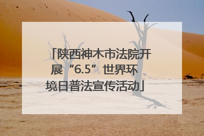 陕西神木市法院开展“6.5”世界环境日普法宣传活动