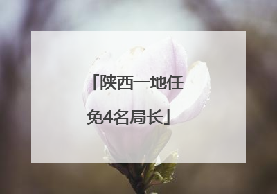 陕西一地任免4名局长
