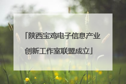 陕西宝鸡电子信息产业创新工作室联盟成立
