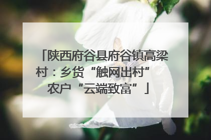 陕西府谷县府谷镇高梁村：乡货“触网出村” 农户“云端致富”