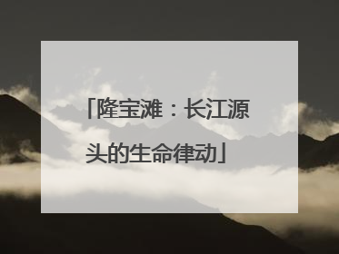 隆宝滩：长江源头的生命律动