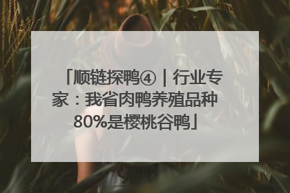 顺链探鸭④｜行业专家：我省肉鸭养殖品种80%是樱桃谷鸭