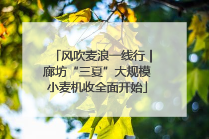 风吹麦浪一线行｜廊坊“三夏”大规模小麦机收全面开始