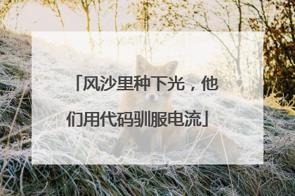 风沙里种下光，他们用代码驯服电流