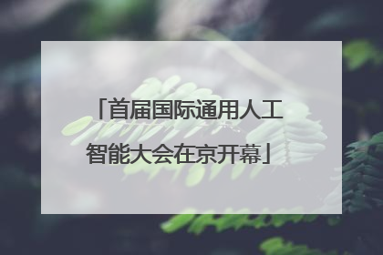 首届国际通用人工智能大会在京开幕