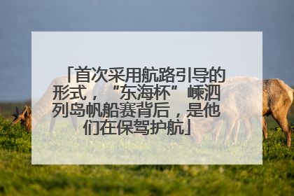 首次采用航路引导的形式，“东海杯”嵊泗列岛帆船赛背后，是他们在保驾护航