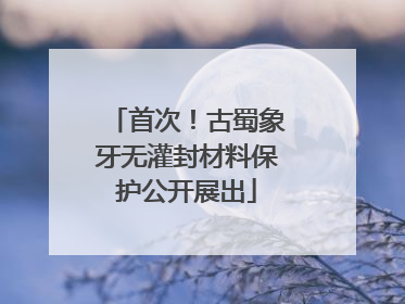 首次！古蜀象牙无灌封材料保护公开展出