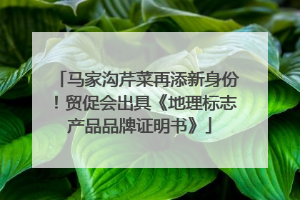 马家沟芹菜再添新身份！贸促会出具《地理标志产品品牌证明书》