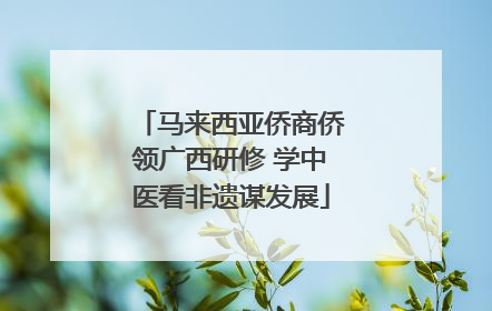马来西亚侨商侨领广西研修 学中医看非遗谋发展