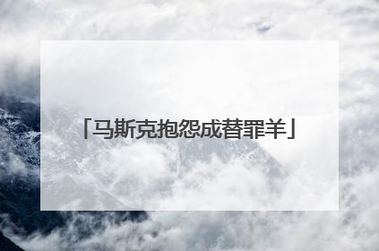 马斯克抱怨成替罪羊