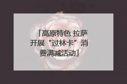 高原特色 拉萨开展“过林卡”消费满减活动