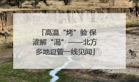 高温“烤”验 保灌解“渴”——北方多地夏管一线见闻