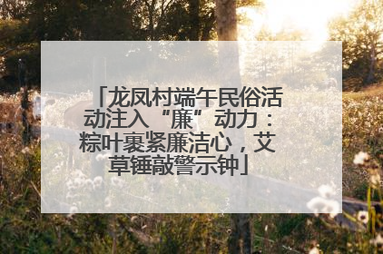 龙凤村端午民俗活动注入“廉”动力：粽叶裹紧廉洁心，艾草锤敲警示钟