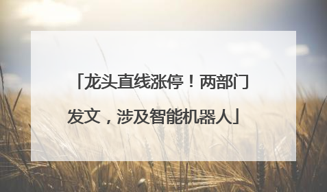 龙头直线涨停！两部门发文，涉及智能机器人