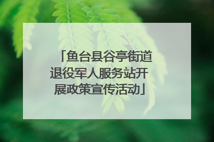 鱼台县谷亭街道退役军人服务站开展政策宣传活动