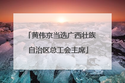 黄伟京当选广西壮族自治区总工会主席