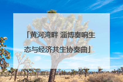 黄河湾畔 淄博奏响生态与经济共生协奏曲