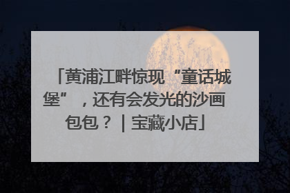黄浦江畔惊现“童话城堡”，还有会发光的沙画包包？｜宝藏小店