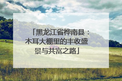 黑龙江省桦南县：木耳大棚里的丰收盛景与共富之路